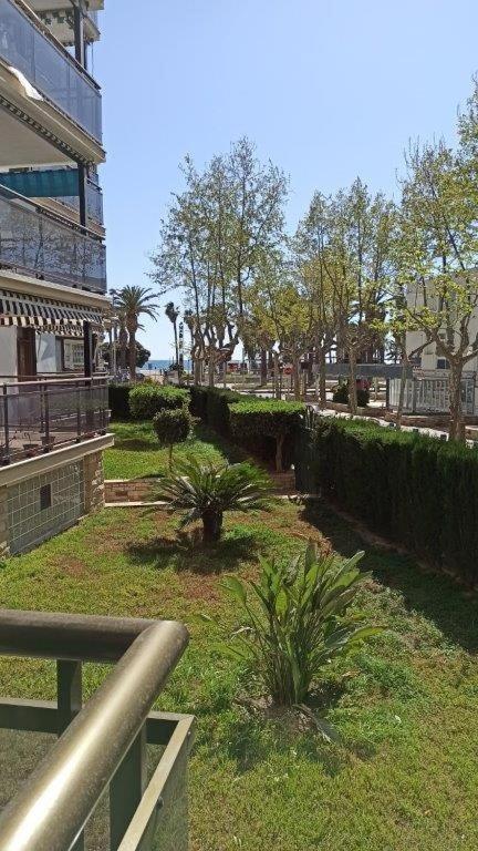 Apartamento En 1ª Linea De Mar En 萨洛 外观 照片